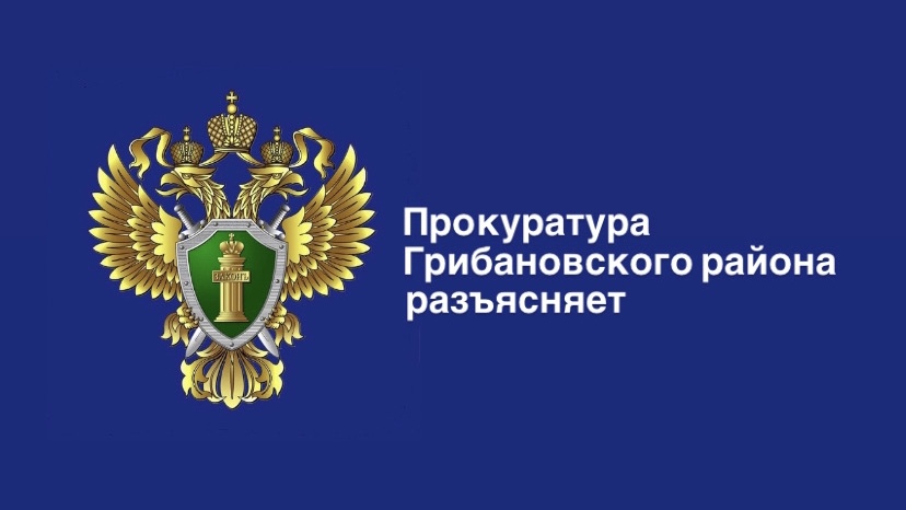 Прокуратура Грибановского района разъясняет:     Профилактика правонарушений несовершеннолетних и их безопасность в период летних каникул .